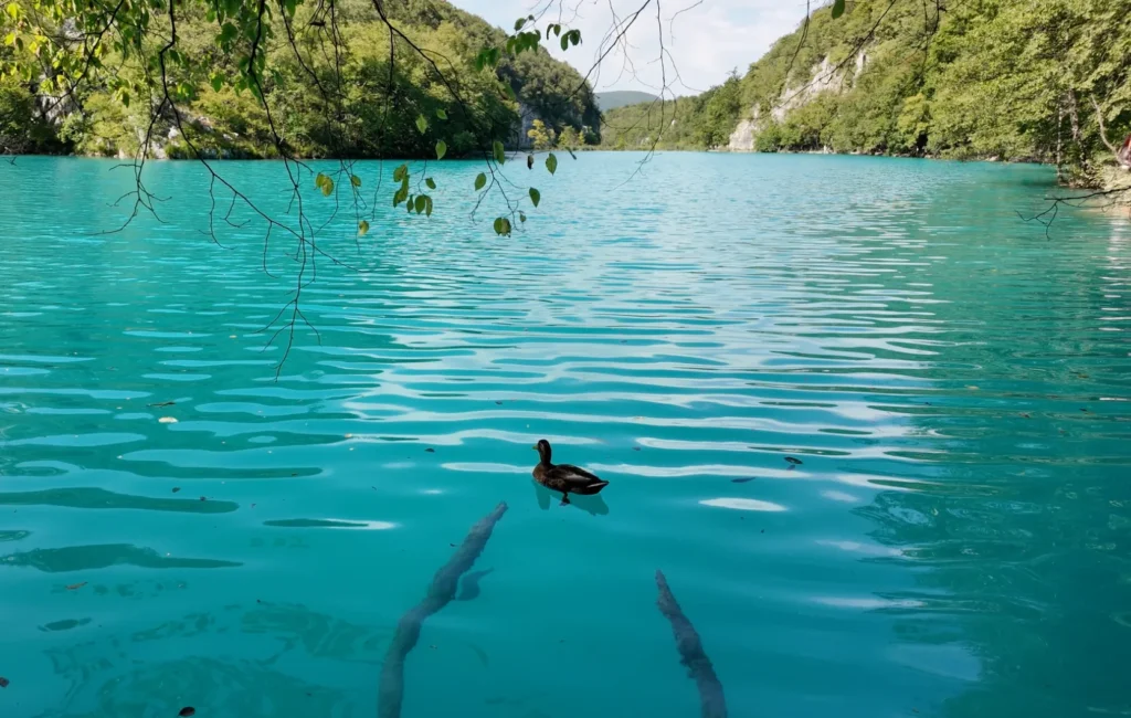 Plitvice Lakes National Park, Croatia