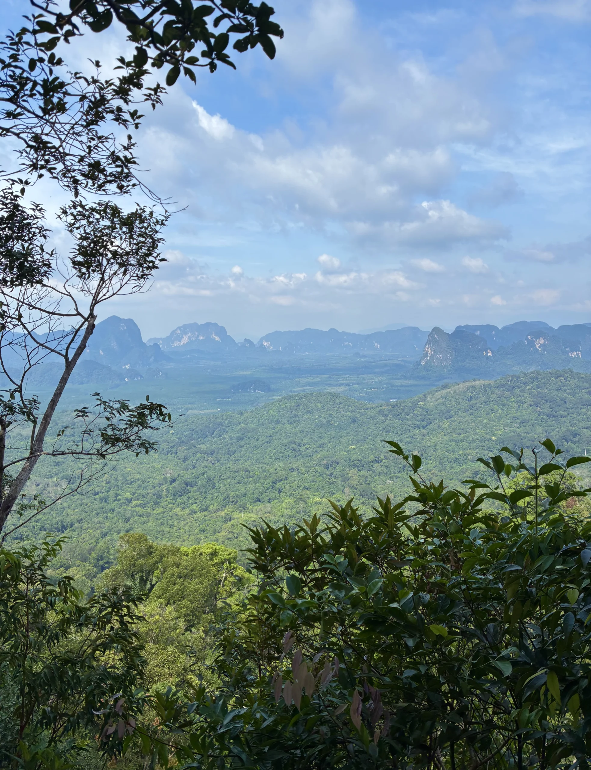 Dragon's Crest Trail