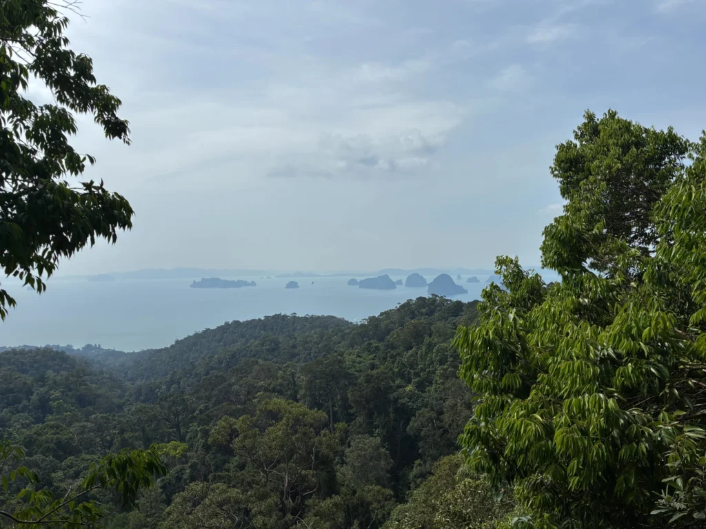 Dragon's Crest Trail