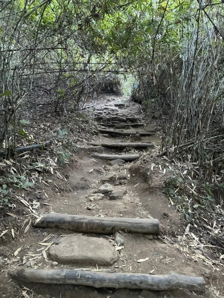 Wa Phat Lat Hike, Chiang Mai Thailand
