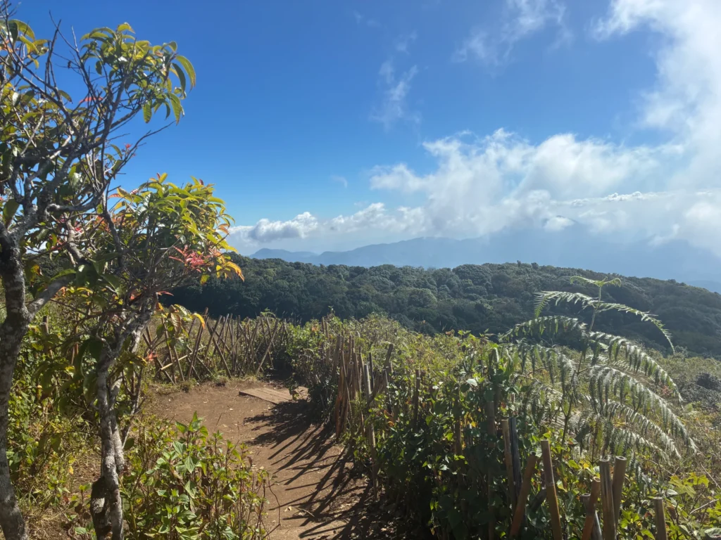 Kew Mae Pan Nature Trail, Don Inthanon National Park