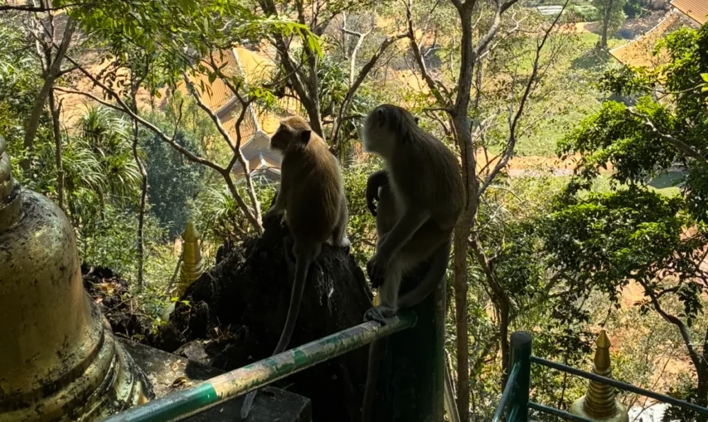 Tiger Cave Temple Hike, Krabi